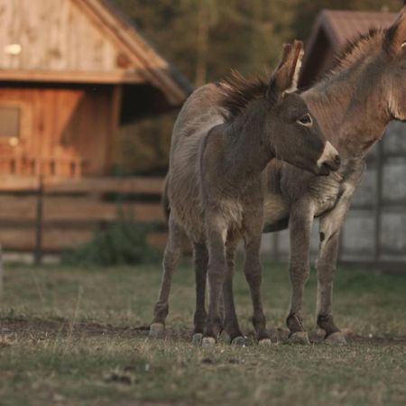 Tatarska Zagroda - Agroturystyka Dolina Baryczy Noclegi - Domek Jelonek Krosnice Exterior foto